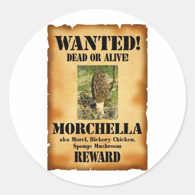Pegatina Redonda Morel - Poster buscado (Anverso)