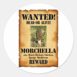 Pegatina Redonda Morel - Poster buscado