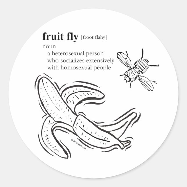 PEGATINA REDONDA MOSCA DE LA FRUTA (Anverso)