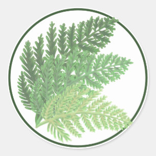 Pegatina Redonda Moss Green Fern