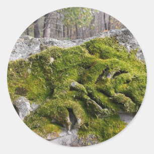 Pegatina Redonda Mossy Broken Headstone