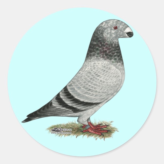 Pegatina Redonda Mostrar grizzle de Racer (Anverso)