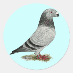 Pegatina Redonda Mostrar grizzle de Racer