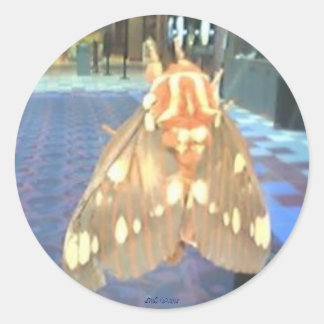 Pegatina Redonda Moth