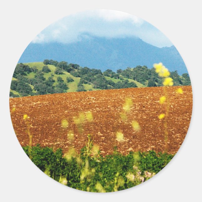 Pegatina Redonda Mt Diablo (Anverso)