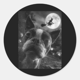 Pegatina Redonda Mujeres Boston Terrier Selfie Luna Llena Volando