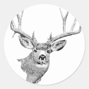 Pegatina Redonda Mule Deer