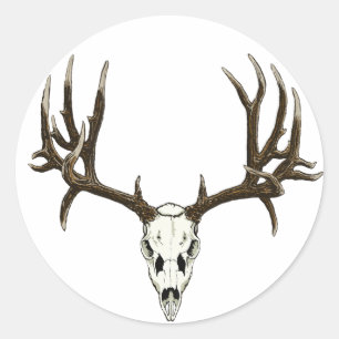 Pegatina Redonda Mule Deer Skull
