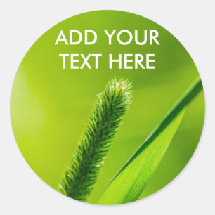 Pegatina Redonda Mundo Verde