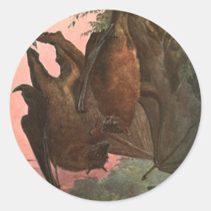 Pegatina Redonda Murciélagos Flying Fox de Austen, Animales Salvaje