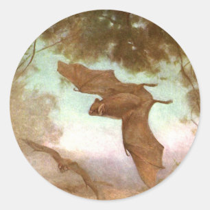 Pegatina Redonda Murciélagos Vampiros por CE Swan, Animales Salvaje