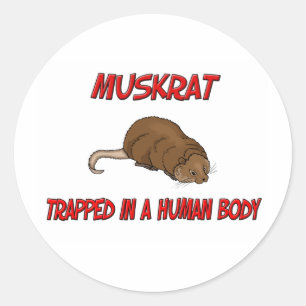 Pegatina Redonda Muskrat atrapado en un cuerpo humano