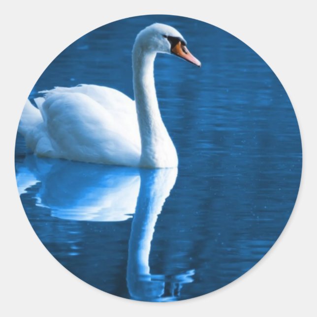 Pegatina Redonda Mute Swan Pegatinas (Anverso)
