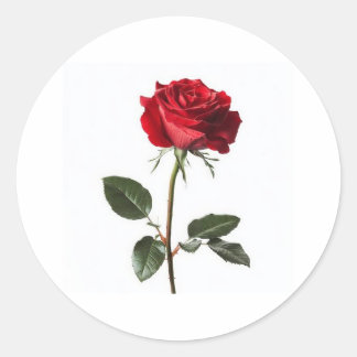 Pegatina Redonda Muy hermoso, 👍 bonito diseño 