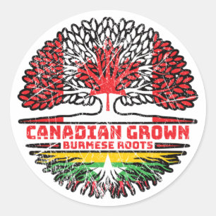 Pegatina Redonda Myanmar Birmano Canadá: Árbol canadiense tiene ban