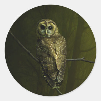 Pegatina Redonda Mystique Owl