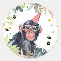 Nacimiento animal del Fiesta Chimpancé Monkey Safa