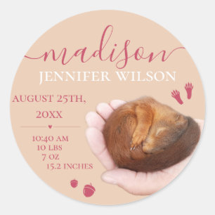 Pegatina Redonda Nacimiento de bebé regalo estadísticas de nacimien