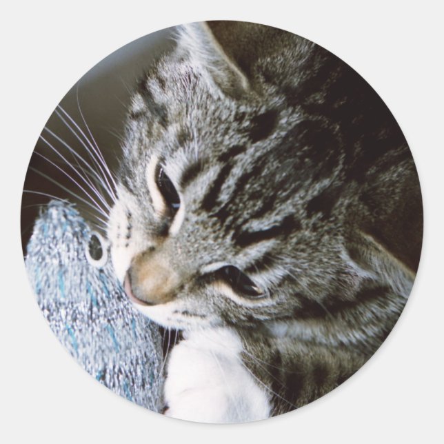 Pegatina Redonda nancy con el ratón (Anverso)