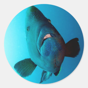 Pegatina Redonda Napoleon