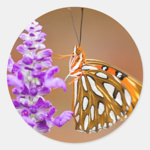 Pegatina Redonda Naranja brillante mariposa fritillera del Golfo