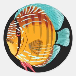 Pegatina Redonda Naranja Discus