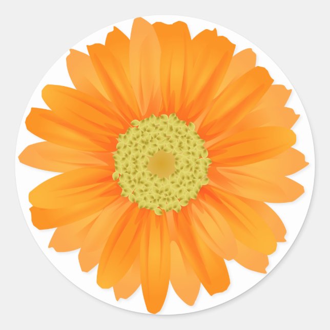 Pegatina Redonda Naranja floral Gerbera Daisy Flowers (Anverso)