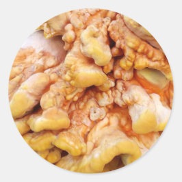 Pegatina Redonda Naranja Fungus