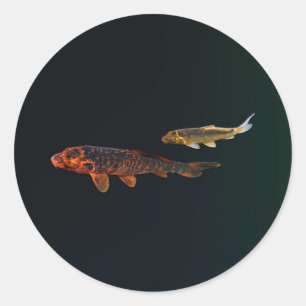 Pegatina Redonda Naranja Koi y Gold Koi