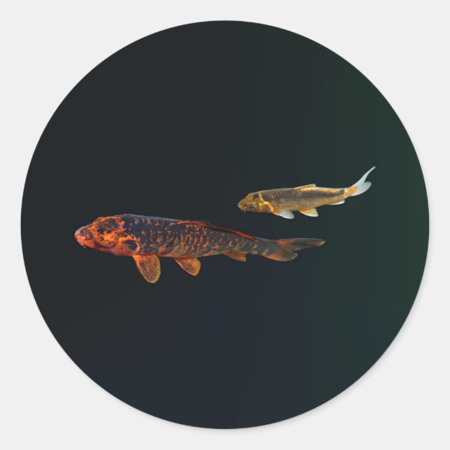 Pegatina Redonda Naranja Koi y Gold Koi (Anverso)