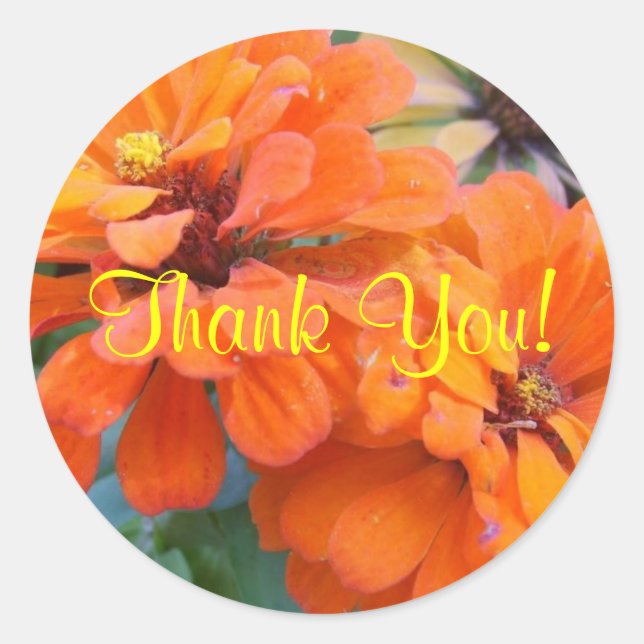 Pegatina Redonda Naranja Marigolds (Anverso)