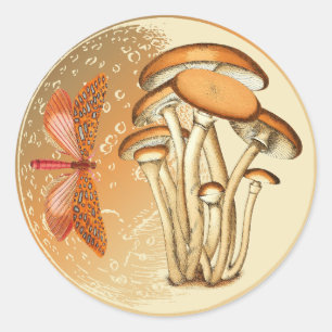 Pegatina Redonda Naranja Mariposa Mushroom Moon