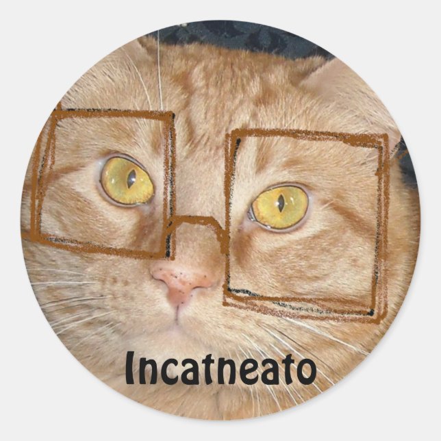 Pegatina Redonda Naranja Tabby Cat/Incognito Humor (Anverso)