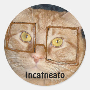 Pegatina Redonda Naranja Tabby Cat/Incognito Humor