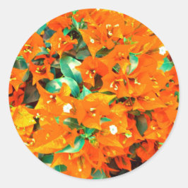 Pegatina Redonda Naranja vibrante Bougainvillea Flores