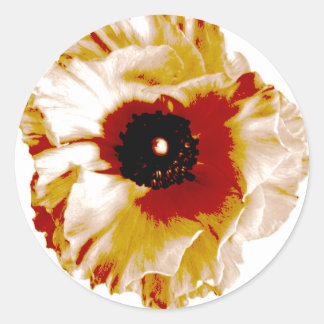 Pegatina Redonda naranja vibrante y ranunculus blanco
