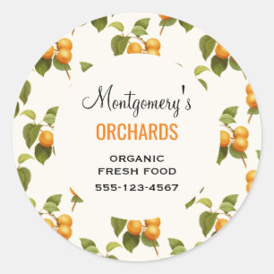 Pegatina Redonda Naranja Vintage Apricot Watercolor Pattern Busines