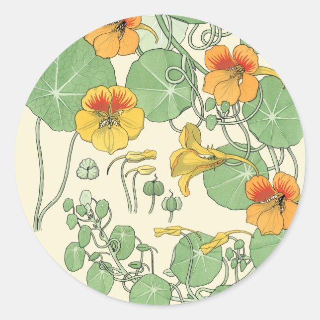 Pegatina Redonda Nasturtios (Anverso)
