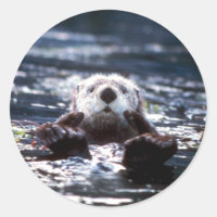 Natación de Otter Sea