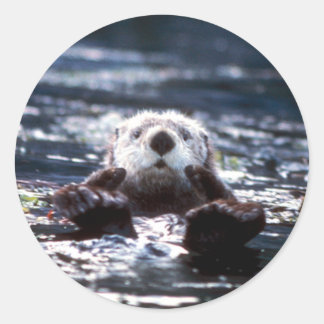 Pegatina Redonda Natación de Otter Sea