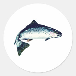 Pegatina Redonda Natación Steelhead