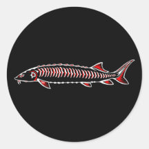 Nativo nuevo: cirujano blanco