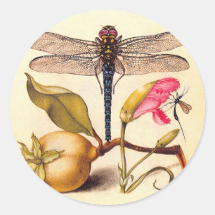 Pegatina Redonda Naturaleza botánica de la libélula