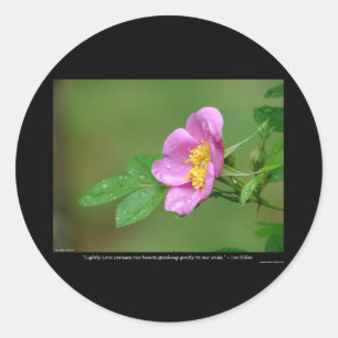 Pegatina Redonda Naturaleza del amor Rosa silvestre Tormenta de pri