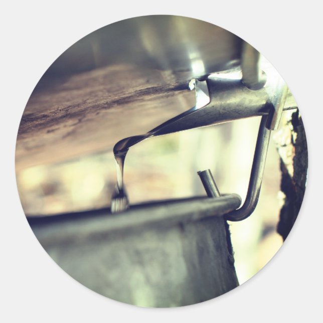 Pegatina Redonda Naturaleza en marcha de la sierra de arce (Anverso)