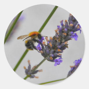 Pegatina Redonda Naturas trabajadores maravillosos