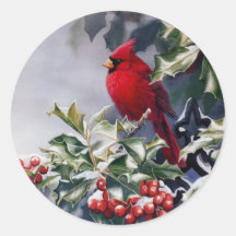 Navidad Cardenal Bird Sentado En Holly Berries