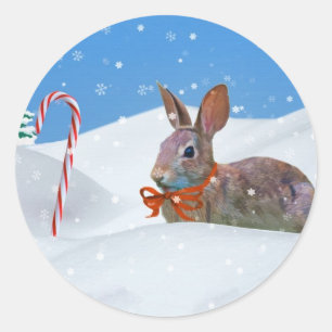 Pegatina Redonda Navidad, conejo, nieve, bastones de caramelo