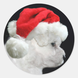 Pegatina Redonda Navidad de Bichon Frise