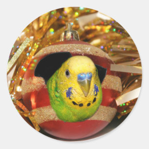 Pegatina Redonda Navidad del Parakeet